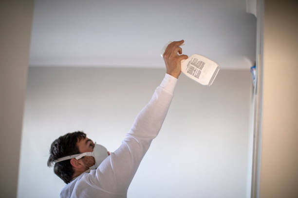 Best Commercial Mold Removal  in Wheaton, IL