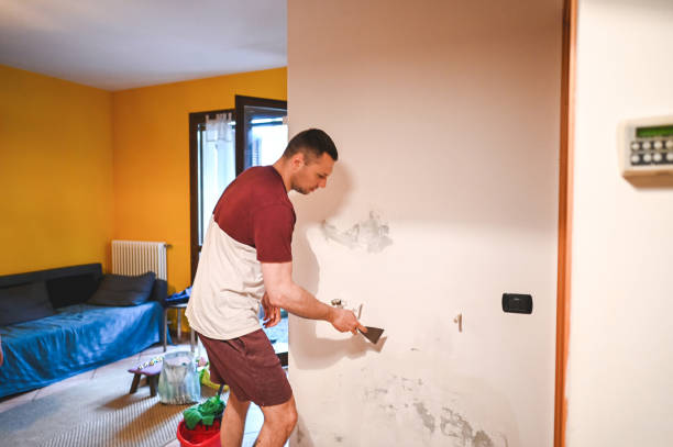 Wheaton, IL Mold Removal Company